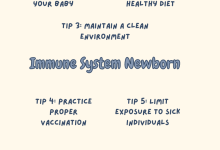 Immune System Newborn